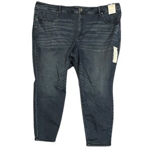 Terra & Sky Plus Size PETITE High Rise Skinny Jeans